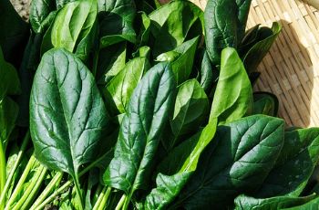 Organic Spinach (पालक) 1 bunch (250g)